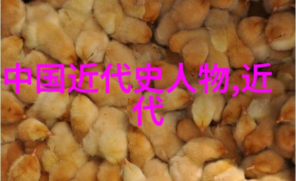李雷中国的数字英雄