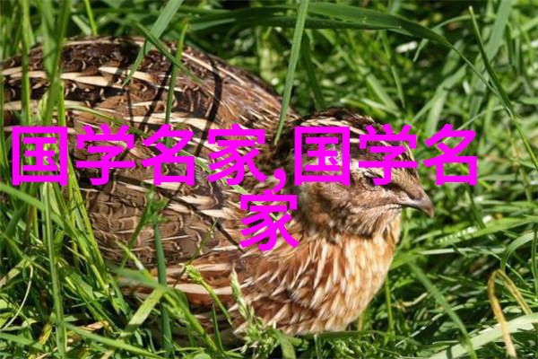 中国历史名人排行榜他们的贡献如何塑造了中华文明