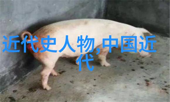 美丽的象征揭秘中国最漂亮女人第一名的秘密