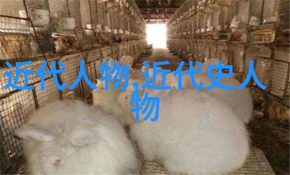 探秘美女视频网镜头下的魅力与真实