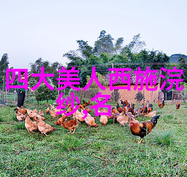 四大发明家华陀苏轼沈括赵孟頫