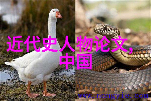 人物探究2025年春节放假时间与元宵节寓意的结合