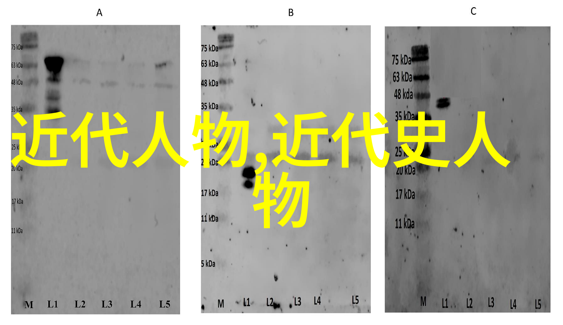 三个人日的我走不了路 - 独行者在人多之时我如何自处