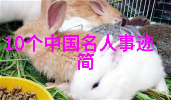 程颐程颢兄弟 宋代理学大师为儒家复兴奠定基础