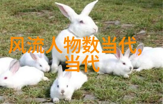 落地玻璃窗设计透明视觉体验