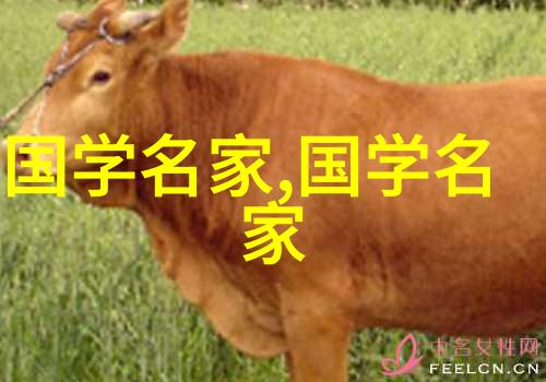 三大美人笑谈古今美的盛宴
