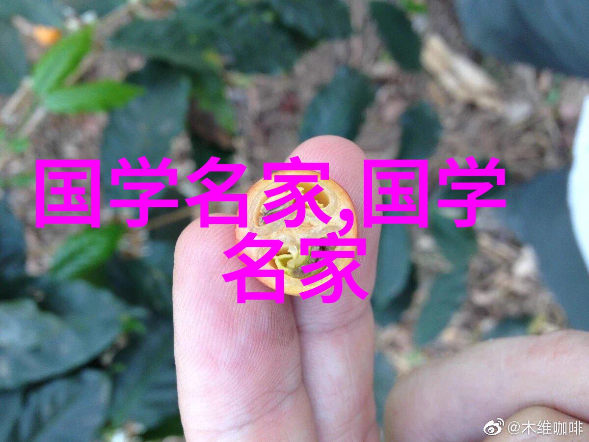 四大美女第一名古代文学中的绝世佳人王昭君的倾城美貌