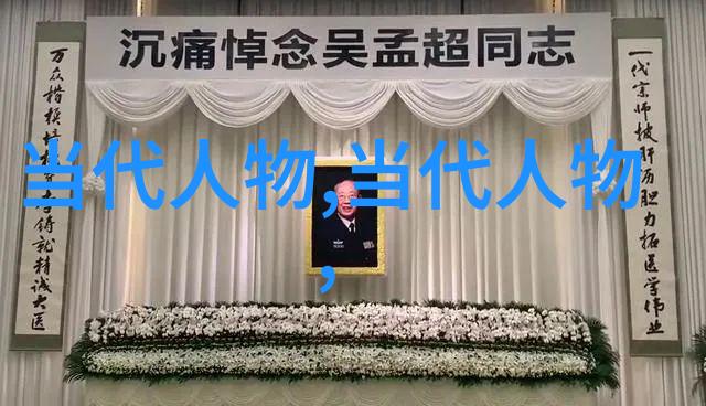 国士成双探索忠诚与爱情的深邃之旅