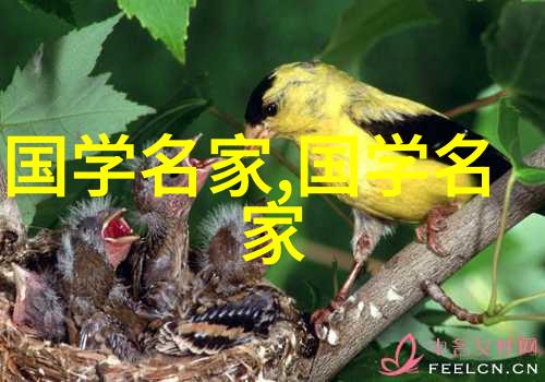 梁启超从保定留守到新文化运动的倡导者