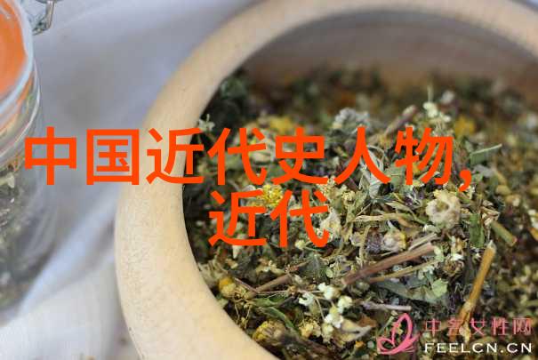 中国历史名人文天祥的忠诚与坚持