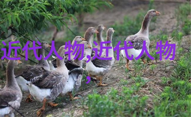 逆境炼金师专精于将失败转变为成功的个人