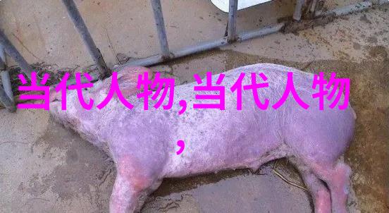 中国历史上四大美女 - 玉容辉映探秘古代的四大美人传说