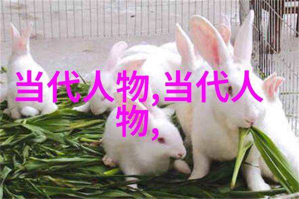文学巨匠回顾苏轼欧阳修和王安石的风格特点