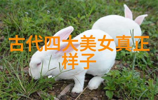 红墙之谜毛泽东与失落的档案室