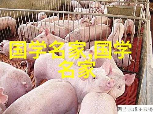 只为爱心灵的纽带永恒的承诺