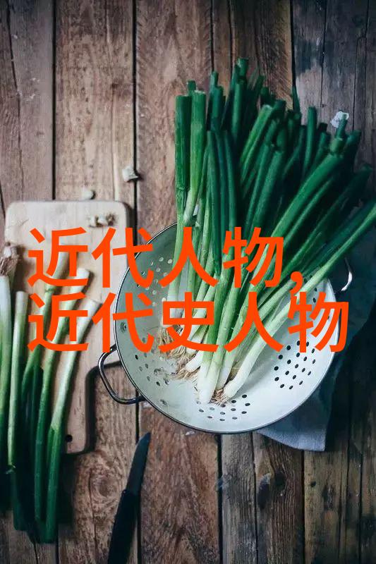 中国历史人物传记中国古代名将哲学家帝王与革命先贤