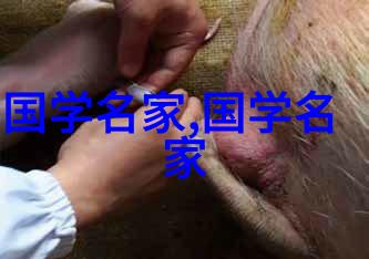 古代伟大的历史人物诸葛亮