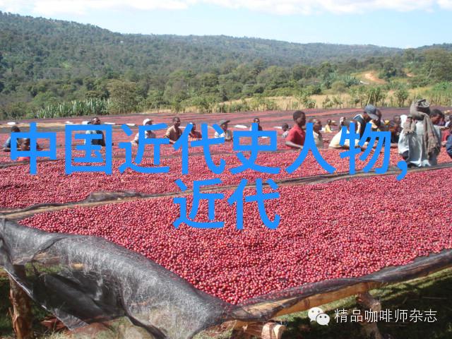 宋玉的情境与我们今天的情绪生活对比