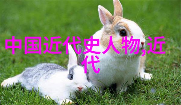 从画卷到现实揭秘创作过程中的挑战与灵感来源