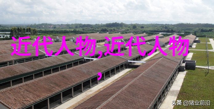 永恒的传奇探秘不死传说