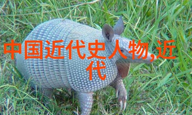 历史的足迹时间里的英雄们