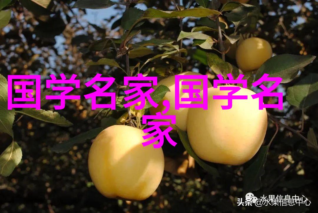 谁是真正的英雄解析历史上那些令人敬佩的人物
