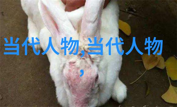 建国四大美男中国影视界的风采代言人