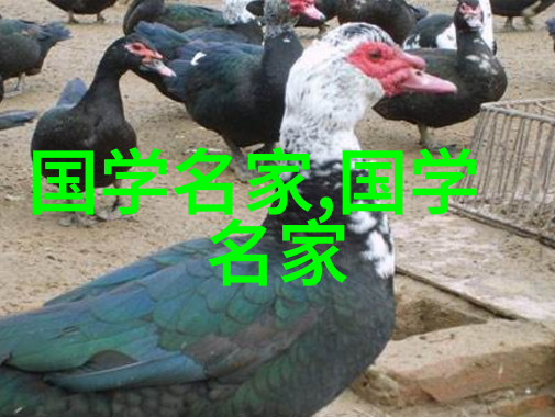 情感交流-女生说痛男生越往里寨的视频深度解读爱与疼痛的边界