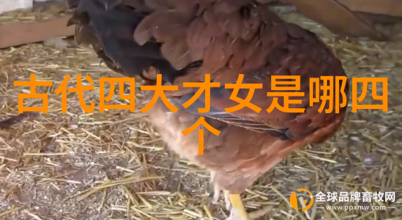 历史人物传记栋梁之才与风华绝代