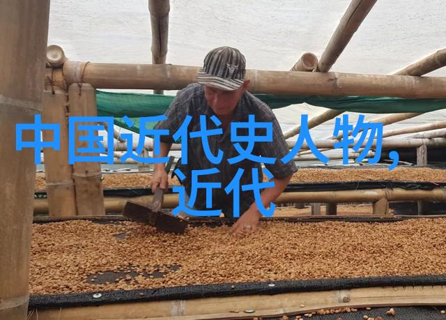 阴影政权亡灵的无声统治