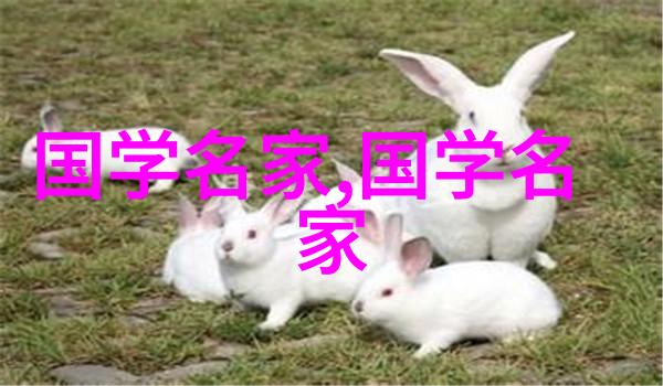 中国美女 - 传说中的魅力揭秘中国十二大美女的故事