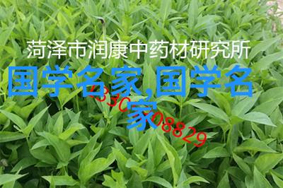 历史名人简短小故事时光的画师慈善家安德鲁卡拉比诺夫的温柔笔触