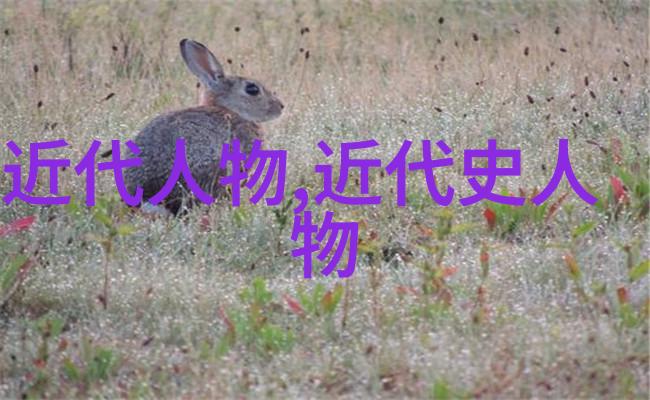 历史的风云李鸿章与晚清海防modernization