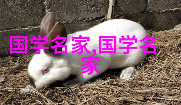 中国历史名人他们的足迹与时代的光芒
