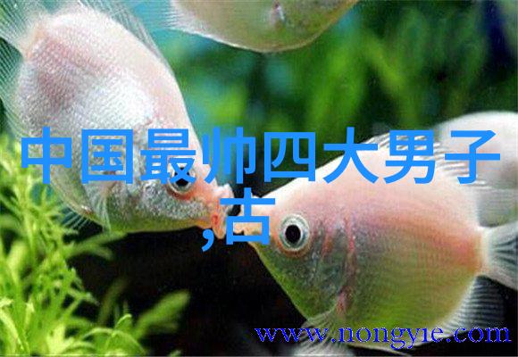 古老灵力修炼法尘封的秘术与现代世界的碰撞