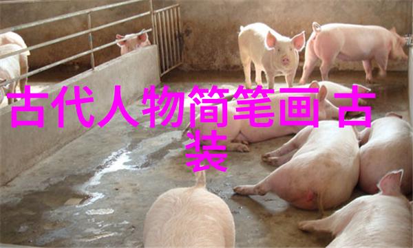 程颐程頔兄弟理学思潮在宋代的传播者
