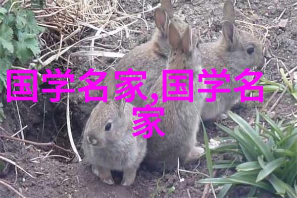现代史中的传奇人物曹操的智谋与魅力