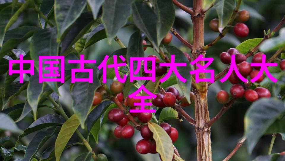他们的研究和发明是否都直接应用于现实生活或军事用途