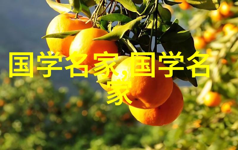 名人故事的名称追逐梦想与成就的传奇征程