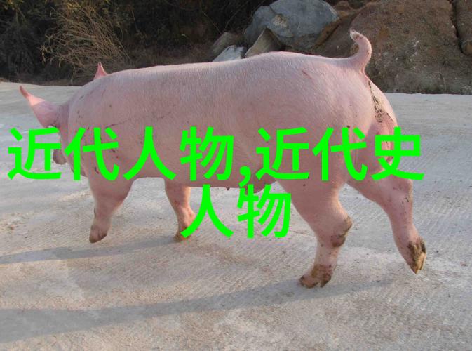 曹操与荀彧的策略之对话
