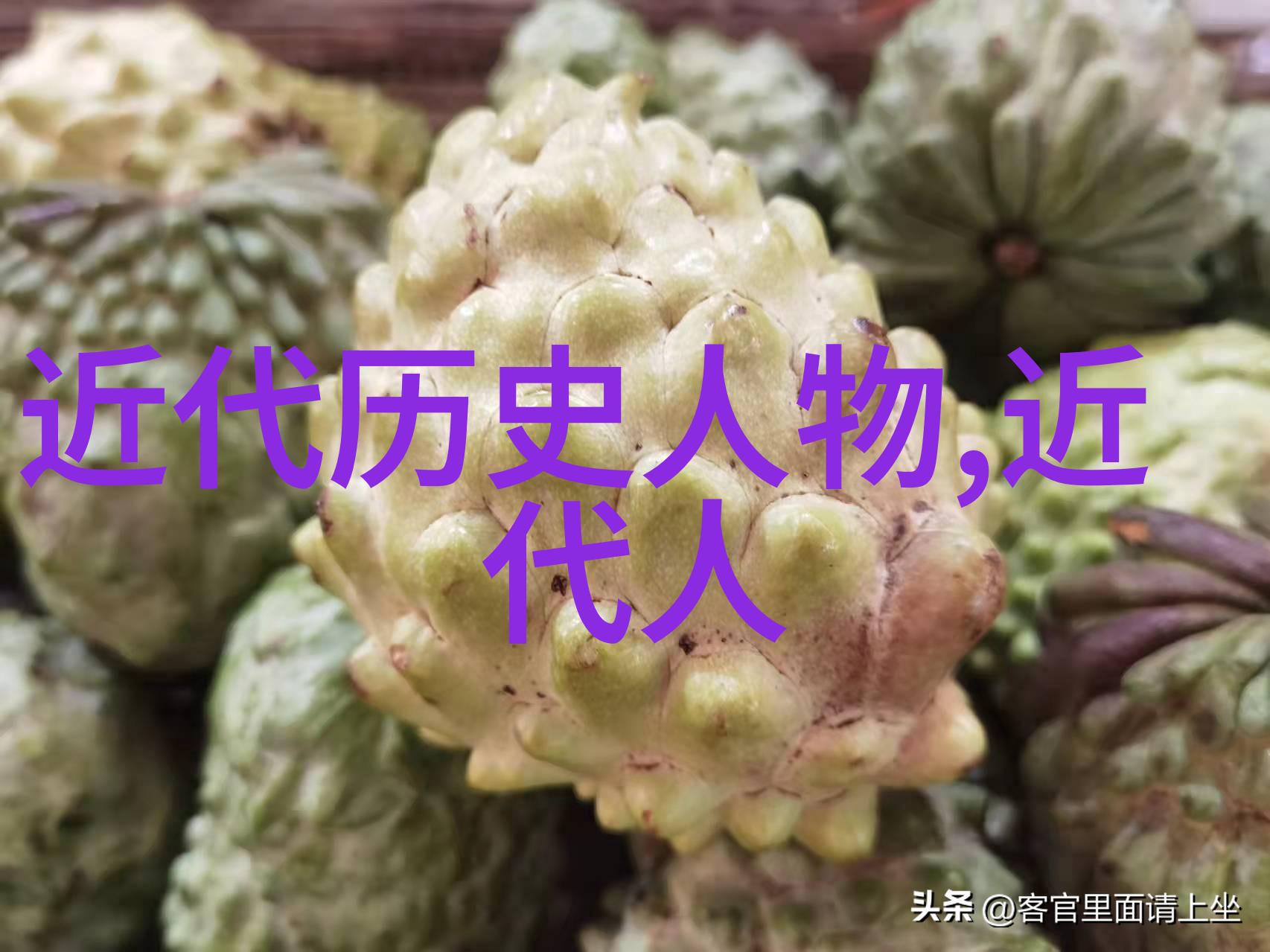他们是如何在封建社会中凭借才智和勇气成就事业的