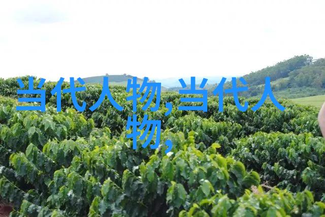 美丽如画揭秘古代四大美女的魅力与传奇