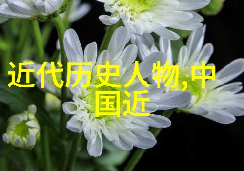 中国古代伟大军事家诸葛亮的智谋与坚韧三国时期的杰出领导者